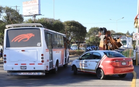 En febrero, la Secretar&iacute;a llev&oacute; a cabo 222 operativos de inspecci&oacute;n.