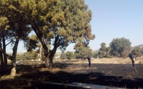 El hallazgo ocurri&oacute; cerca de las ocho de la ma&ntilde;ana de este martes