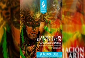 La formaci&oacute;n de un bailar&iacute;n