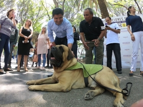  Pondr&aacute; en marcha dos unidades de denuncia en el norte y sur de la ciudad