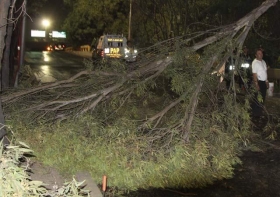 La capital de Puebla sufri&oacute; afectaciones por lluvia