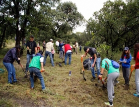 Reforestaron dos hect&aacute;reas en La Calera