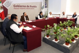 Record&oacute; que 34 casos son importados