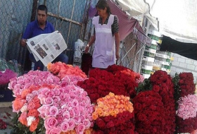 Preparan rosas para San Valent&iacute;n