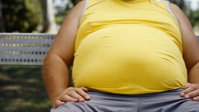 En Puebla la mayor&iacute;a de las personas son obesas