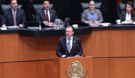 Asumo la responsabilidad hist&oacute;rica por visita de Trump durante campa&ntilde;a: Videgaray