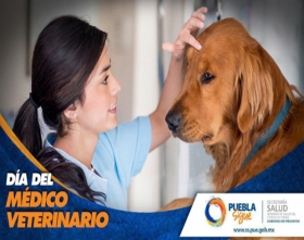 Reconocen labor de m&eacute;dicos veterinarios