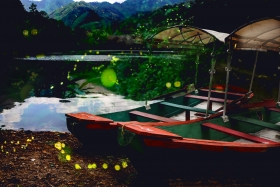 Desde lanchas, en Tlatlauquitepec &ldquo;Festival de las Luci&eacute;rnagas&rdquo;