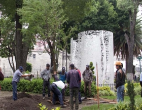 Siembras &aacute;rboles en el z&oacute;calo
