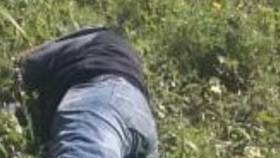 Eenfrentamiento entre elementos de la Polic&iacute;a Federal y un grupo de delincuentes 