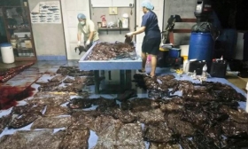 Muere ballena tras tragar ochenta bolsas de pl&aacute;stico en Tailandia