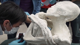 El cuerpo momificado tiene un cr&aacute;neo at&iacute;picamente grande