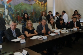  Grupo de Trabajo para la Investigaci&oacute;n de la Solicitud de Alerta de Violencia de G&eacute;nero contra las Mujeres 