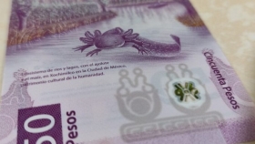 Es el billete m&aacute;s bonito del mundo y el m&aacute;s buscado en M&eacute;xico