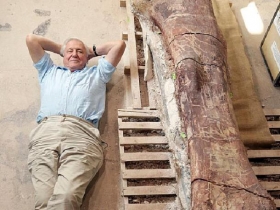 Los dinosaurios m&aacute;s grandes del planeta