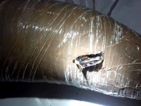 No se dio a conocer la identidad de la f&eacute;mina ni detalles de su persona, solo se dijo que lleg&oacute; en el vuelo de Volaris