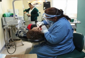 Estomat&oacute;logos IMSS