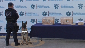 A trav&eacute;s del Grupo K9, la Polic&iacute;a Municipal refrenda el compromiso de robustecer los esquemas de seguridad
